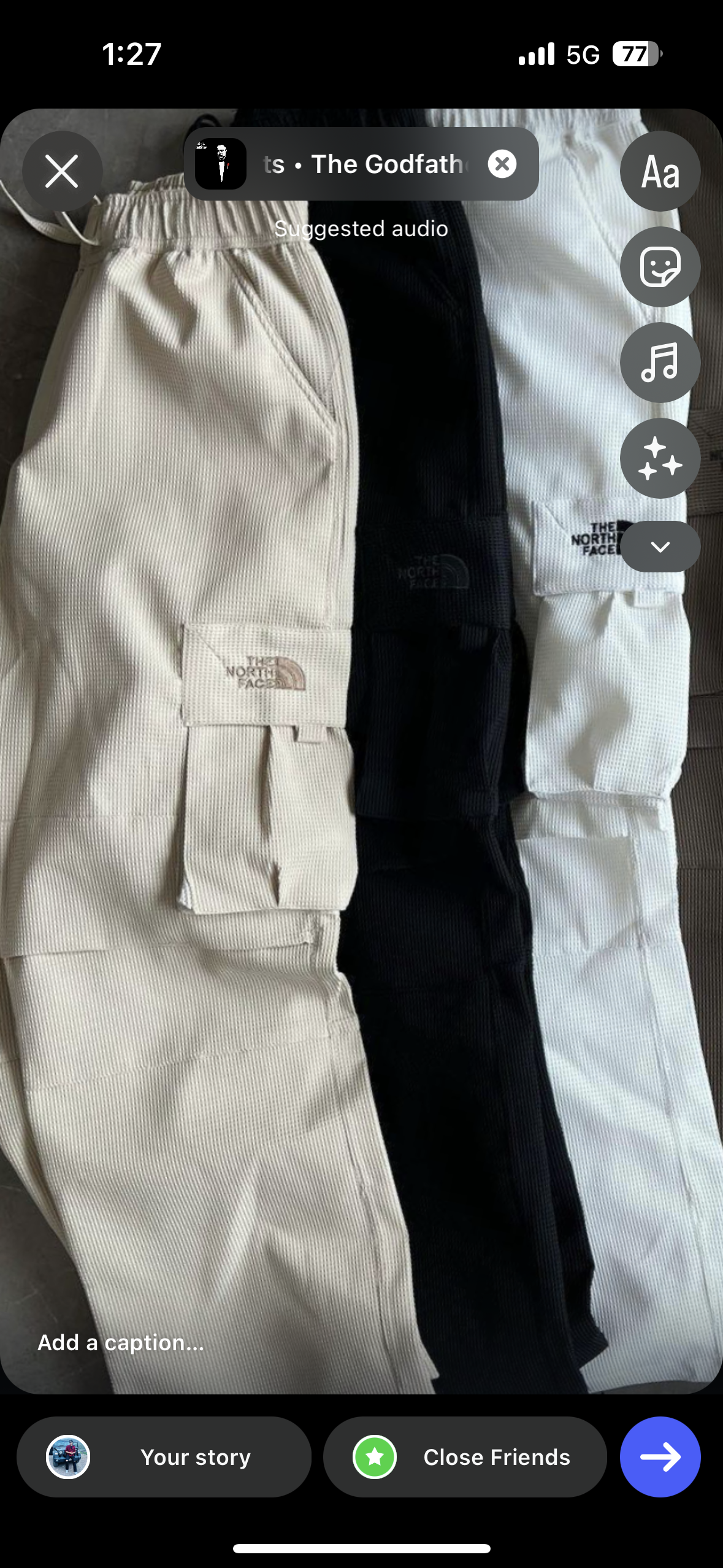 NorthFace Bottoms